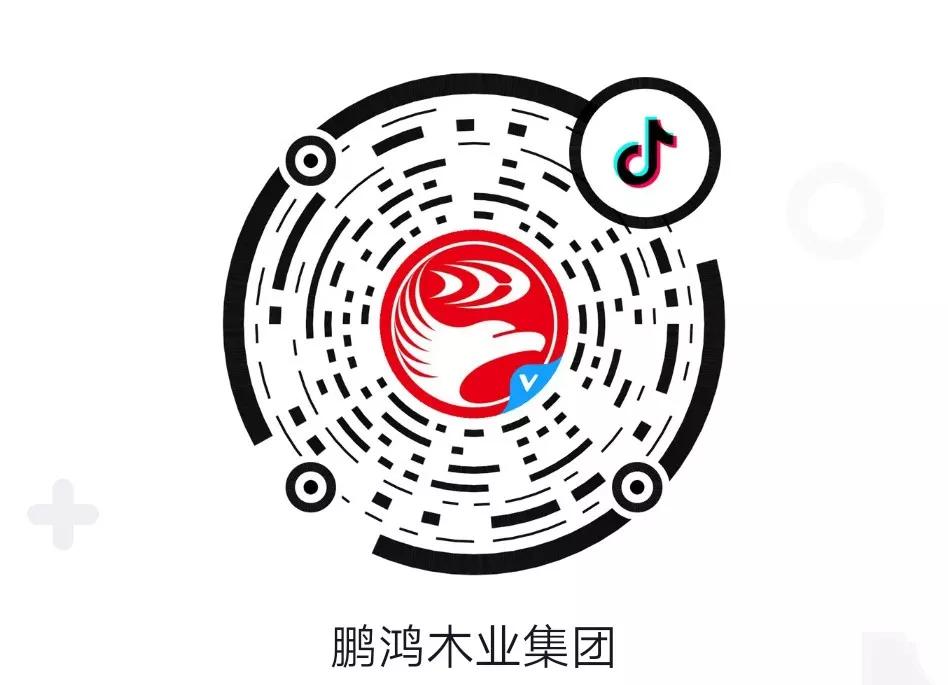 这厢有礼丨这个春节我最鸿，抖音相伴幸福年