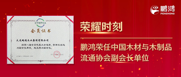 再获行业注定，bifa必发集团荣任中国木材与木制品流通协会副会长